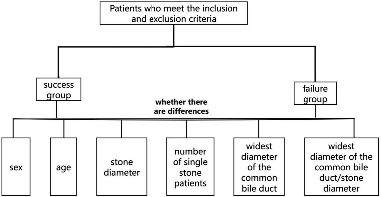 Flowchart illustrating the classification of patients who meet inclusion and exclusion criteria into success and failure groups, with comparison factors including sex, age, stone diameter, number of single stone patients, and bile duct diameter measurements.