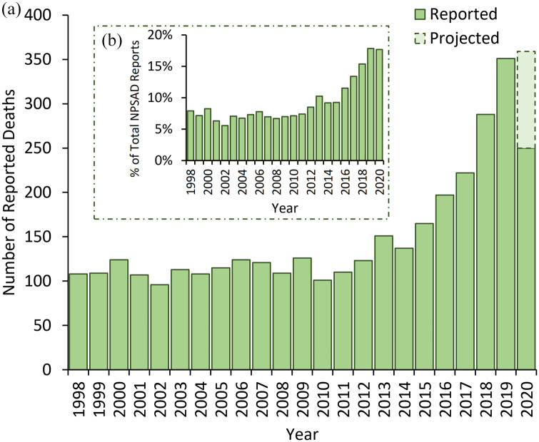 (a) Number of deaths reported to NPSAD from England (1998–2020) with cannabis detections at post-mortem. As the average period between death and conclusion of coronial inquests for drug-related deaths is 7–10 months, further deaths from 2020 are anticipated to be reported. The number of deaths projected to still be received (dashed bar area) has been calculated based upon these previous jurisdiction reporting trends. (b) Proportion of deaths with cannabis detections at post-mortem reported to NPSAD from England (1998–2020). When normalised against total NPSAD reporting in England over the same time period, the increase in deaths with cannabis detections remains, demonstrating that there has been a proportional rise in their occurrence.