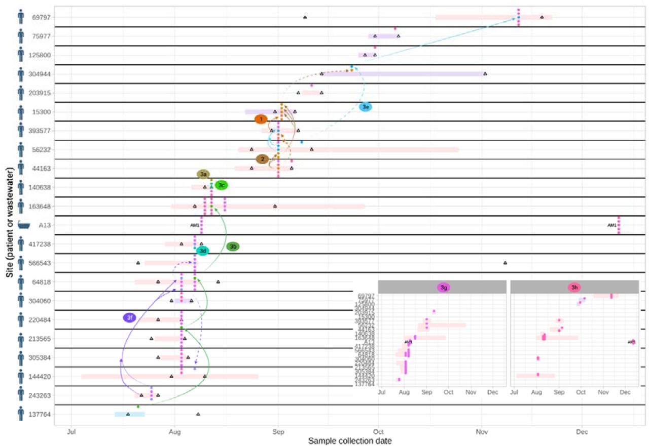 Klebsiella pneumoniae strain 9 - features of population structure and transmission dynamics - rapid patient-patient transmission.Putative transmission network for sub-lineages of K. pneumoniae strain 9, defined by accessory genome clustering (clusters 1, 2, 3a-h). Horizontal bars represent admission episodes to study wards for each patient (pale blue=W45, geratology; pale pink=AM1, acute medicine; pale purple=AM2, acute medicine; A13 represents the only environmental (shower) site involved. Empty black triangles denote CPE-negative rectal screens on patients. Arrows denote possible transmission links (dashed arrows denote events that have no geographic overlap or could be associated with two links based on negative screen, geographic location and timing). For clarity, arrows are not drawn for clusters 3g and 3h, which affected the most patients - these are shown in detail as an inset panel at the bottom right. In some cases patients were colonised by other species-strains contemporaneously (not shown here).