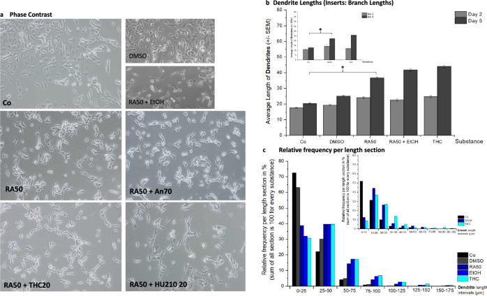 Morphology and dendrite lengths.a A representative phase contrast picture of every cell culture condition is depicted: undifferentiated control cells (Co), differentiated cells (treated with 50 µM retinoic acid, RA50), and differentiated cells additionally treated with 20 µM THC (THC20), anandamide 70 µM (An70), or HU210 20 µM (HU210 20). The smaller pictures show controls for the solvents of RA (DMSO) and THC (Ethanol, EtOH). b The average dendrite length of undifferentiated control cells (Co), differentiated cells (treated with 50 µM retinoic acid, RA50), and differentiated cells additionally treated with 20 µM THC (THC20) on day 2 and day 5. Additionally, controls for the solvents of RA (DMSO) and THC (Ethanol, EtOH) are shown. The smaller insert also indicates branch lengths for the three main conditions. Significant differences are indicated by *. c The presentation of the relative frequencies per length section (25 µm intervals) shows the distribution of different neurite lengths per condition. The smaller insert gives the same information for branches in 10 µm-intervals for the three main conditions.