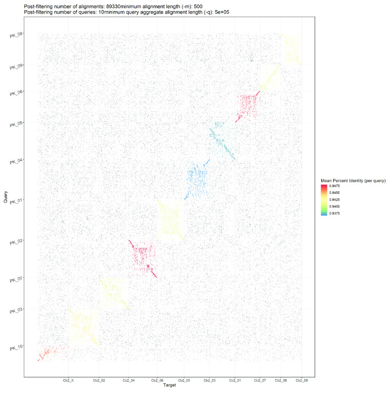 Dot plot showing alignments of Cannbio-2 sequence assembly to the whole genome sequence assembly of PK.