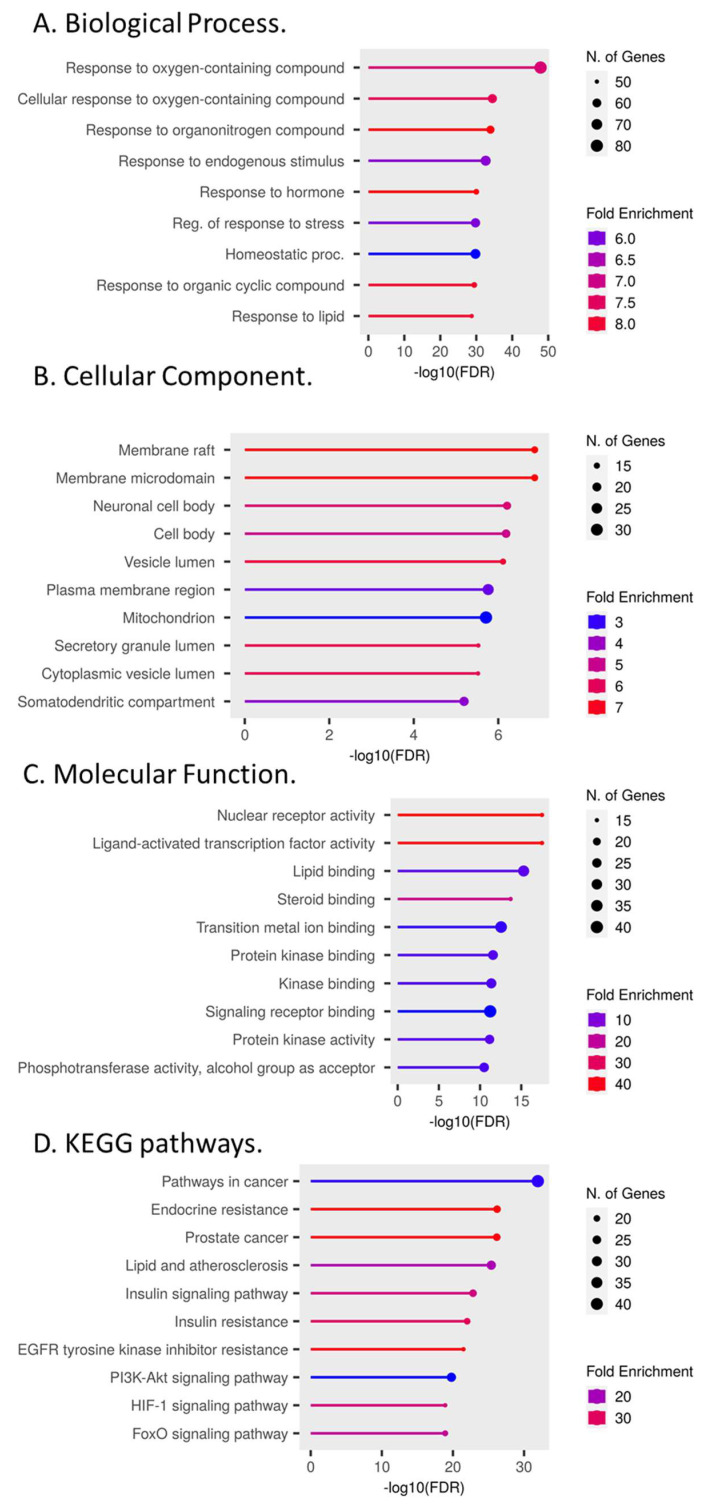 Representation of functional annotation and enriched pathways. (A) GO in terms of biological processes. (B) GO in terms of cellular components. (C) GO in terms of molecular function. (D) KEGG pathway analysis.