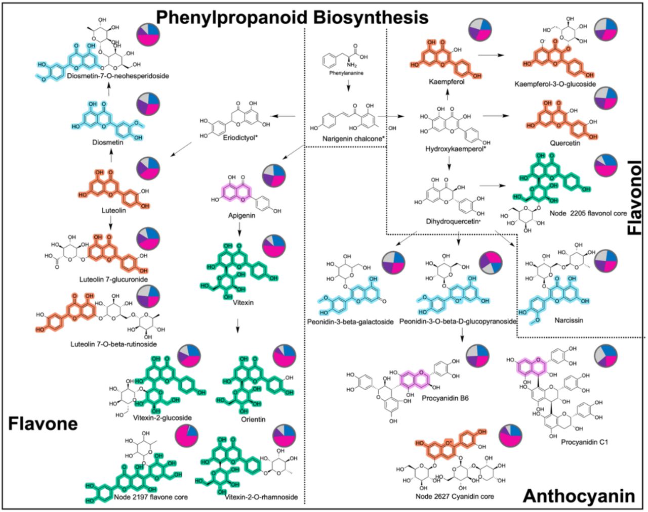 Effect of short-wavelength (UVB, UVA, blue light) on the biosynthesis of flavones, flavonols, and anthocyanins in Cannabis sativa L. inflorescences. A simplified overview of the phenylpropanoid biosynthesis focused in the downstream section responsible to produce flavonoids. Chemical structures highlighted in light-blue, orange, green and pink correspond to motif_68, motif_59, motif_137, and motif_105, respectively, representing shared substructures between flavonoid subclass (flavone, flavonol, and anthocyanin). Pie charts represent relative abundances for each identified feature (compound) according to the feature-based molecular network in positive ionization (FBMN-POS), where each color represent UVB (pink), UVA (purple) and blue (blue) light treatments, and reference or control (grey).
