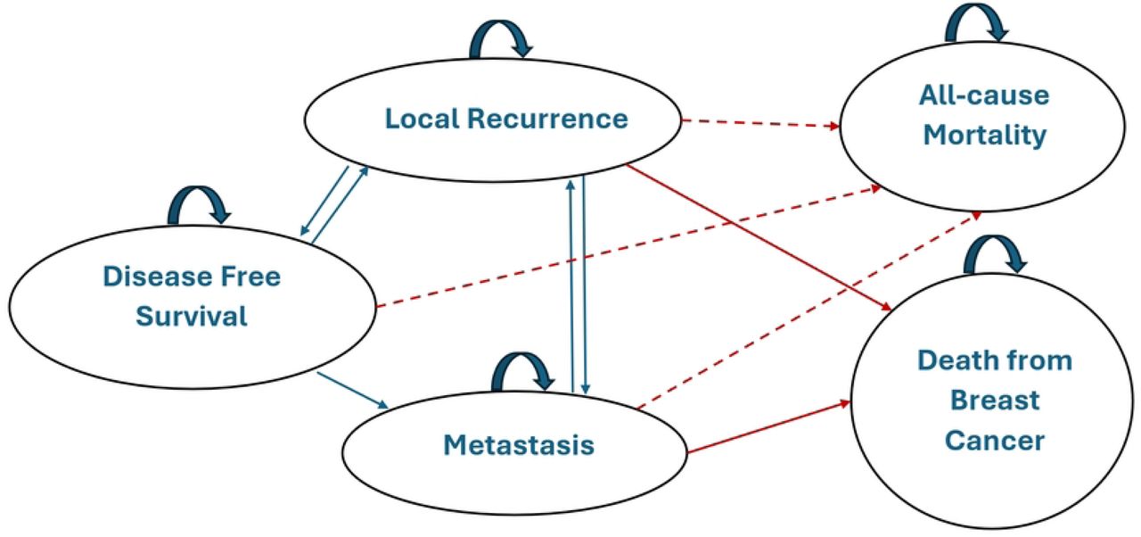 Markov transition states for breast cancer patients on chemotherapeutic regimens
