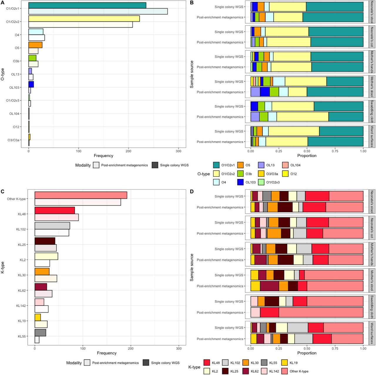 A) Bar chart showing the frequency of the different O-loci across the entire collection of samples, with the results from both single colony WGS and post-enrichment metagenomic sequencing B) A bar chart showing the O-loci split according to sample source, with the results from both the single colony WGS and post-enrichment metagenomic sequencing. C) Bar chart showing the frequency of the different K-loci across the entire collection of samples, with the results from both single colony WGS and post-enrichment metagenomic sequencing D) A bar chart showing the K-loci split according to sample source, with the results from both the single colony WGS and post-enrichment metagenomic sequencing.