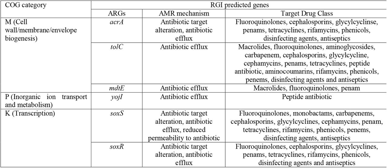 Classification of the identified ARGs into functional gene families by COG categories