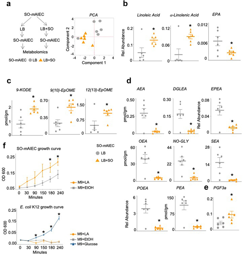 Soybean oil increases oxylipins and decreases endocannabinoid system metabolites in SO-mAIEC cultured in vitro.