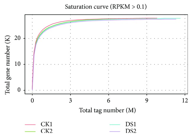 Saturation evaluations of CK and DS hemp.