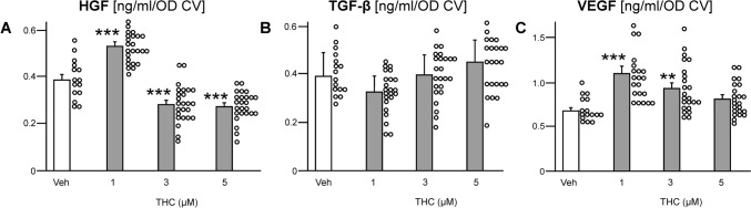 Influence of THC stimulation on growth factor release by ASCs. Cells were stimulated with THC at increasing concentrations (1–5 μM). After 7 days of treatment, media were collected to determine growth factor secretion by sandwich ELISA: A HGF, B TGF-β1, C VEGF. The concentration of each factor is presented as ng/mL per cell number [OD CV]. Data are expressed as mean values (+ SEM) with the data points in a scatter plot. The number of experiments and donors were n ≥ 15 (3 donors). Statistical analyses were performed by one-way ANOVA followed by pairwise comparison vs. the vehicle control (Veh); **p ≤ 0.01, and ***p ≤ 0.001