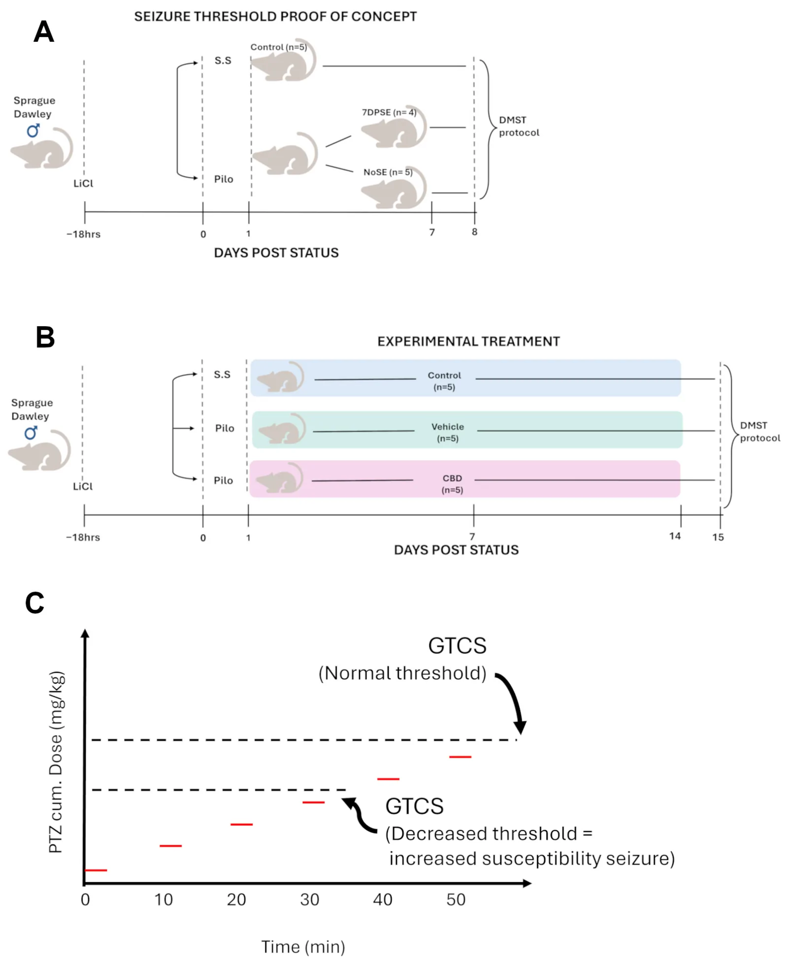 Experimental design and model development. (A) Schematic diagram of the experimental design for seizure threshold proof of concept showing the experimental groups as Control (treated with lithium chloride [LiCl] and saline solution [S.S]), 7DPSE (seven days post-SE, treated with lithium chloride [LiCl] and pilocarpine [Pilo]), and NoSE (same treatment as 7DPSE without development of SE). (B) The panel presents a schematic diagram of the experimental treatments. Control and convulsive groups were produced as above. All treatments were applied during 14 DPSE (14 days post-SE—highlighted areas) via gavage. Control (treated with water—light blue area), Vehicle (treated with sesame oil—light green area), and CBD (treated with CBD oil—pink area). In both experimental schemes, 24 h after the end of the experimental period, all groups were subjected to the DMST (discretely measured seizure threshold) protocol. (C) Diagram representing the DMST protocol. The red lines indicate the moment when subconvulsive doses of PTZ were administered. The dotted lines represent the threshold dose required to produce generalized tonic-colonic seizures (GTCS) in naive animals (normal threshold) and after SE (increased susceptibility threshold).