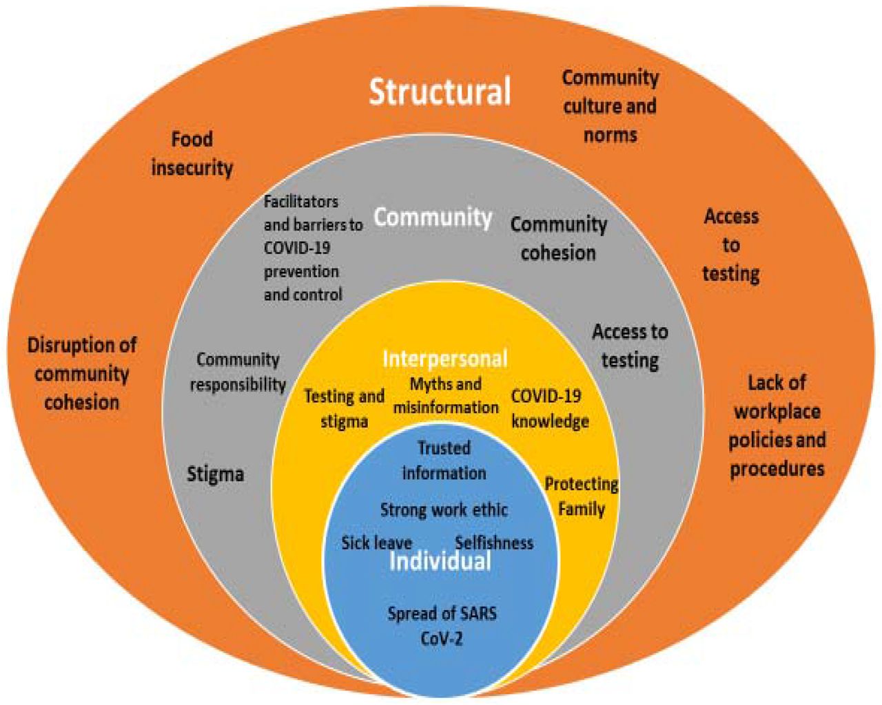 COVID-19 Social Ecological Model and Study Themes13