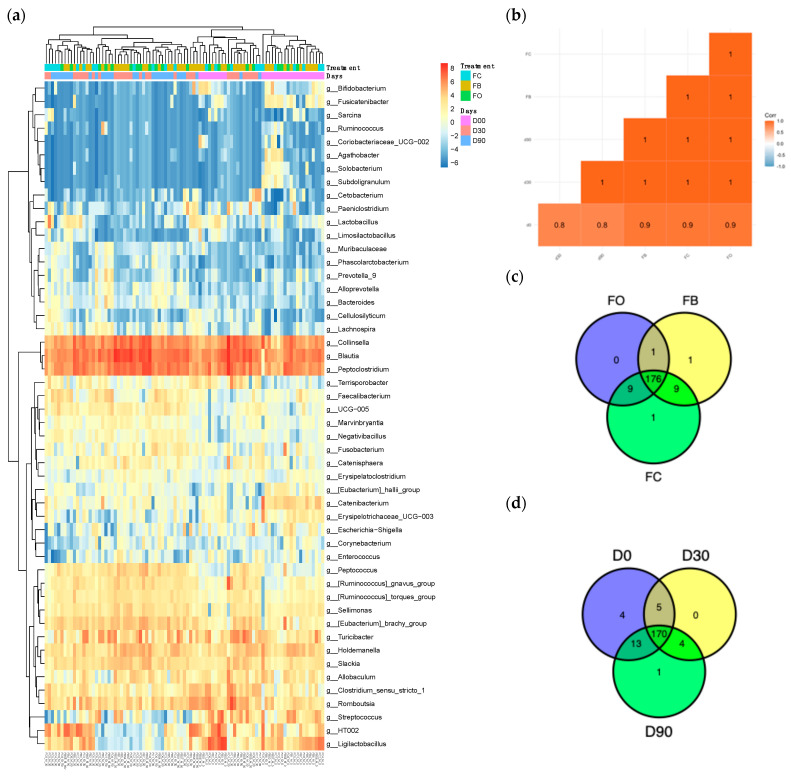Diet–relation relationship. (a) Heatmap and cluster analysis of bacterial microbiome at the genus level in feces. (b) Correlation matrix with correlation coefficient between day (day 0, day 30, day 90) and diet treatment (FC, FB, FO) at the genus level (relative abundance > 0.9%) (p-value ≤ 0.05). Positive correlations are shown in red. Color intensity is proportional to the correlation coefficients within a correlation group. (c) Venn diagram by diet group. (d) Venn diagram by day.