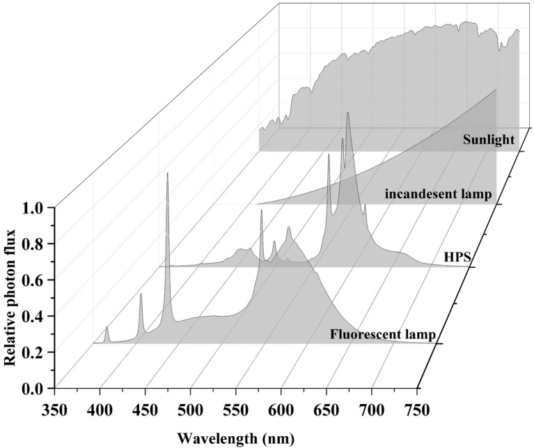 Sunlight and traditional light source spectra. Data were collected using a spectroradiometer (PS-300, Apogee, UT).