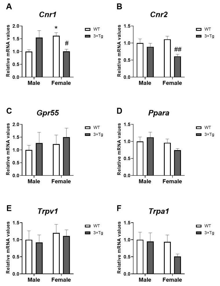 Cannabinoid-related receptors mRNA expression: Cnr1 (A), Cnr2 (B), Gpr55 (C), Ppara (D), Trpv1 (E), and Trpa1 (F) in hippocampal astrocytes from offspring born to 3×Tg-AD and non-Tg (WT) mice. Data are expressed as the mean ± S.E.M. Tukey or single-effect analysis: * p < 0.05 vs. males (sex difference); #/## p < 0.05/0.01 vs. same-sex WT group.
