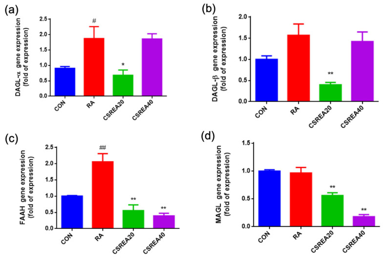 Effects of CSREA on the expression of endocannabinoid-related genes in RA-differentiated SH-SY5Y cells. RA: retinoic acid. Relative mRNA expression levels of (a) DAGL-α, (b) DAGL-β, (c) FAAH, and (d) MAGL were analyzed by RT-qPCR after 5 days of retinoic acid (RA)-induced differentiation followed by treatment with CSREA (20 or 40 μg/mL) for 6 h. Expression values were normalized to PPIA gene and are presented as fold change relative to the control group (CON). Data are shown as mean ± SEM. ## p < 0.01, # p < 0.05 versus the CON group, ** p < 0.01, * p < 0.05 versus the RA group.