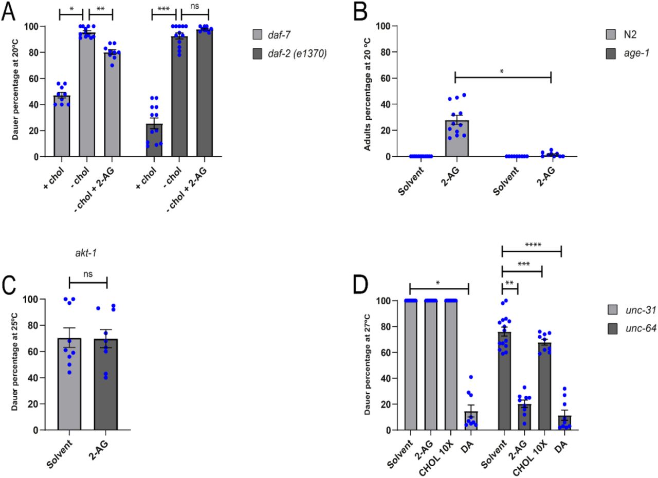 DAF-2 and UNC-31 are required for 2-AG-dependent cholesterol mobilization.(A) daf-7 and daf-2(e1370) were grow at 20 ºC either on cholesterol or in a sterol-free media during one generation. When indicated the media was supplemented with either cholesterol 13 μM or 2-AG 50 μM. All Pairwise Multiple Comparison Procedures (Dunn’s Method), *p < 0.05. **p < 0.05. ***p < 0.05. All values from n ≥ 3 independent experiments show as Mean ± SEM. ns = not significant. (B) N2 and age-1 were grown for two generations in media with 0 μg/ml cholesterol at 20ºC. Mann-Whitney rank sum test, *p < 0.001. All values from n ≥ 3 independent experiments show as Mean ± SEM. (C) akt-1 was grown in media with 0 μg/ml cholesterol during one generation at 25 ºC. All values from n = 3 independent experiments show as Mean ± SEM. ns = not significant. (D) 2-AG is unable rescue the daf-c phenotype of unc-31 grown at 27 ºC. All Pairwise Multiple Comparison Procedures (Dunn’s Method), *p < 0.05. All Pairwise Multiple Comparison Procedures (Holm-Sidak method), **p < 0.05. ***p < 0.05. ****p < 0.05. All values from n ≥ 3 independent experiments show as Mean ± SEM. N2 is the C. elegans wild-type strain.