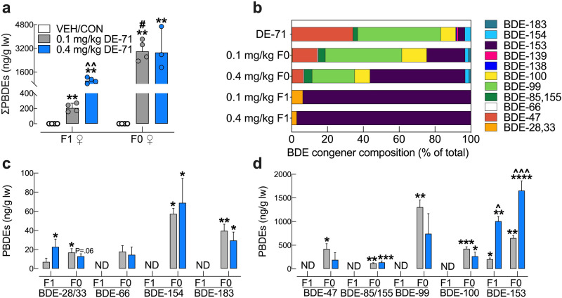 Hepatic BDE congener analysis of DE-71-exposed mouse dams and their adult female offspring. (a) The ng/g lipid wt sum concentrations of the PBDE congeners detected (bars represent ∑PBDEs; geometric mean ± geometric SD) were comprised of BDE 28/33, BDE-153 for F1 and BDE-28/33, BDE-47, BDE-66, BDE-85/155, BDE-99, BDE-100, BDE-153, BDE-154, BDE-183 for F0. DE-71 exposure produced significant accumulation of PBDEs in liver, being greater in directly exposed F0 versus indirectly exposed F1 female mice. Dose-dependency was only seen in F1. Values for VEH/CON are not shown since they were below the method detection limit (MDL). (b) BDE composition (percent total) in the lot of DE-71 used and in livers of F1 and F0. The multi-congener profile in F0 was similar to that of DE-71, whereas that of F1 was restricted to BDE-28/33 and BDE-153. Co-elution of BDE -28 and -33 as well as BDE-85 and -155 prevented differentiation during analysis. (c,d) Absolute concentrations of congeners found in F1 and F0 liver. Predominant congeners in F0 were BDE-47, -99, -100, and -153. Predominant congeners in F1 were BDE-28/33 and -153. Only BDE-153 showed a rise in content in F0 and F1 mice exposed to 0.4 mg/kg relative to 0.1 mg/kg. For statistical purposes, values below the MDL were substituted with randomly generated values between 0 and MDL/2 and designated as not detected (ND). Bars and error bars reflect mean ± s.e.m. *Indicates significantly different from VEH/CON (*P < .05, **P < .01, ***P < .001, ****P < .0001); ^indicates significantly different from the corresponding 0.1 mg/kg group (^P < .05, ^^P < .01, ^^^P < .001). #significant difference across F0 and F1. Dunnett’s T3 or Tukey’s post-hoc tests were used. n = 3–4 replicates/group, analyzed in triplicate. F1 female offspring, F0 dams, ND not detected.