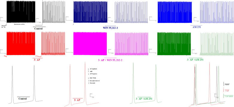 Representative traces of spontaneous firing from control and CB1R agonist/antagonist are depicted