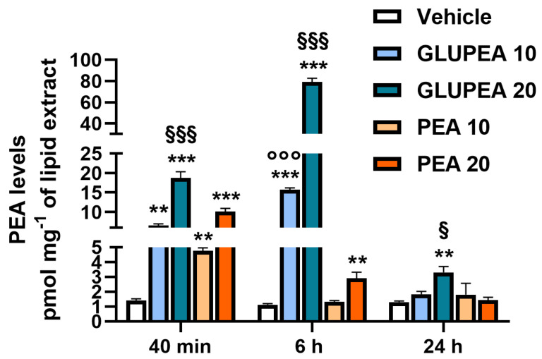 PEA levels in human keratinocyte (HaCaT) keratinocytes after glucuronic acid-palmitoylethanolamide conjugate (GLUPEA) treatment. PEA levels were measured in HaCaT keratinocytes treated for 40 min, 6 h, and 24 h with GLUPEA (10–20 μM) or PEA (10–20 μM). Data are representative of n = 8 separate determinations (means + s.e.m.). Statistical analyses were carried out using one-way ANOVA followed by the Newman–Keuls multiple comparison test (** p < 0.01, *** p < 0.001, versus vehicle; °°° p < 0.001 versus 10 μM PEA; § p < 0.05, §§§ p < 0.001, versus 20 μM PEA).