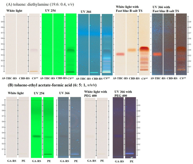 Chemical profile of C. sativa (CSext) was compared with the reference standard materials 1 mg/mL cannabidiol (CBD) and 1 mg/mL Δ9-tetrahydrocannabinol (Δ9-THC) (A). The chemical profile of propolis extract (PE) was compared with the reference standard material 1 mg/mL gallic acid (GA) (B).