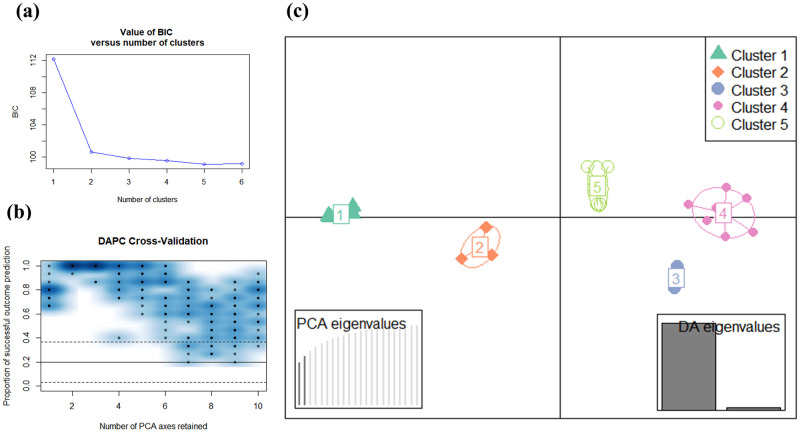 DAPC of 23 cannabis genotypes using 344 multiallelic structural SNPs.Clusters indicated as C1, C2, C3, C4, and C5 corresponds to the I-SNPs in Table 1.