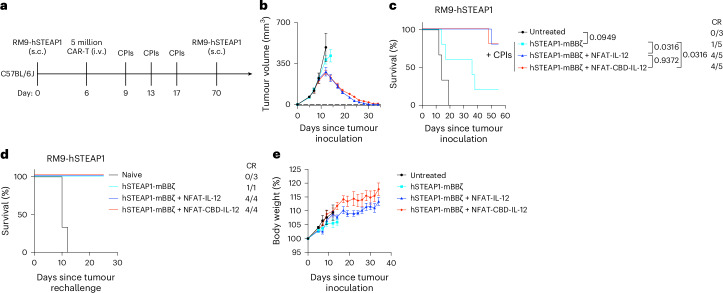 CBD-IL-12-armoured CAR-T cells eradicate established RM9-hSTEAP1 tumour in combination with anti-PD-1 and anti-CTLA-4 checkpoint inhibitors.a, Experimental timeline; 5 million CAR+ T cells were intravenously administered on day 6. Anti-PD-1 and anti-CTLA-4 antibodies were administered intraperitoneally 3 times starting at 3 days after CAR-T administration with 4 days interval. Untreated, n = 3 mice; all the other groups, n = 5 mice. b, Tumour volumes (mean ± s.e.m.). c, Survival rates. d, Complete responders were subcutaneously rechallenged with RM9-hSTEAP1 cells (5 × 105) on day 70. e, Body weight changes normalized to body weights on day 0 (mean ± s.e.m.). Statistical analysis was performed using log-rank (Mantel–Cox) test (c). P values are shown in figures.Source data