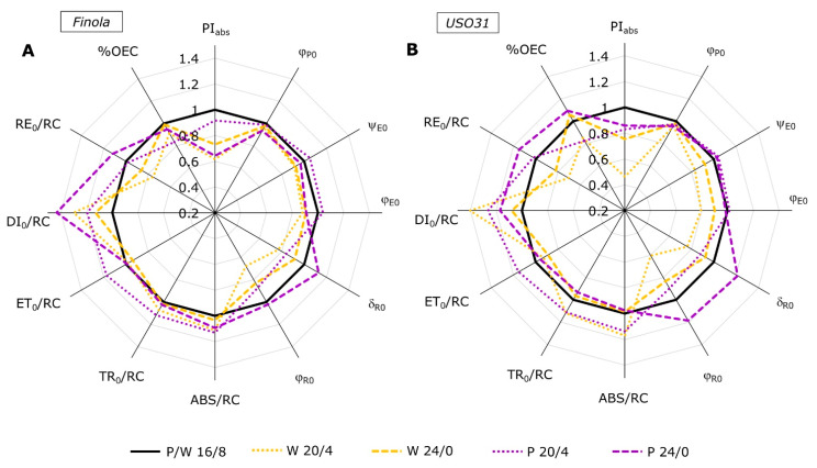 Radar plot of selected JIP-test parameters characterizing PSII functioning measured in Cannabis cultivars Finola (A) and USO31 (B) exposed to 16/8, 20/4, and 24/0 photoperiods and grown under white and purple light. Data are normalized to their respective controls measured at the 16/8 photoperiod for each cultivar and growth light separately (control = 1). Each curve represents mean values of 5 measurements (n = 5); LSDFinola = 0.019; LSDUSO31 = 0.008.