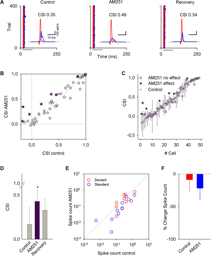 Effects of AM251 on the activity of IC neurons. (A) Typical recordings of an IC neuron under an oddball stimulation paradigm before (control), during (AM251), and after (recovery) an i.v. application of AM251. (For this neuron, the standard frequency was 8574 Hz, and the deviant frequency was 10472 Hz.) The insets show the PSTH of the responses. (B) Scatter plot of the CSI in control condition versus AM251 application. (C) Bootstrapping analysis showing that AM251 produced significant changes in the CSI only in 7/49 neurons. (D) Bars represent the average of the CSI values ± SE in control condition, AM251 application and recovery. (E) Scatter plot of the firing rate showing the spike count for deviant and standard frequencies in control condition versus AM251 application. (F) Bars show the percent change in the spike count averaged for deviant and standard stimuli by AM251 application. There is a tendency for a decrease in the firing rate for both frequencies. Vertical bars represent the % change ± SE.