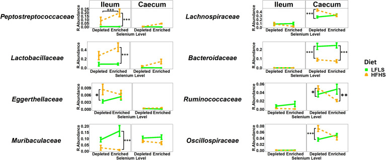 Relative bacterial abundance at the family rank in response to Se-enriched and Se-depleted LFLS or HFHS diets in the intestinal segments ileum and caecum. Data are expressed as the mean ± SEM (n = 12). P values of linear contrast analysis are detailed when significant ‘***’ P < 0.001, ‘**’, P < 0.01, ‘*’, P<0.05 using contrast test between enriched and depleted Se levels, LFLS and HFHS formulations and the combination between Se levels and formulations. The samples were analysed at day 28 of the study.