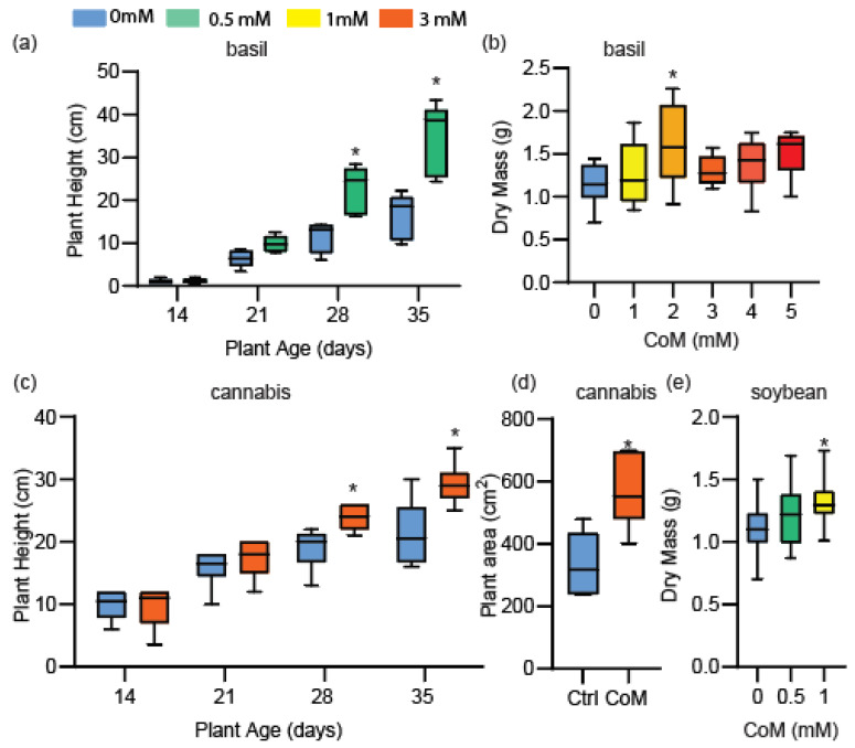 Growth effects of Coenzyme M application in various plant species—basil, cannabis, and soybean. (a) Plant height measurements of basil at ages indicated below. Seeds were soaked in 0.5 mM of CoM prior to sowing, and plants were sprayed once weekly with 0.5 mM of CoM, n = 5 biological replicates. (b) Dry mass measurements of basil after 30 days of growth during which CoM at concentrations indicated below was sprayed three times a week, n = 9 biological replicates. (c) Plant height measurements of cannabis at indicated ages that were sprayed three times weekly with 3 mM of CoM, n = 6 biological replicates. (d) Plant area measurements of cannabis sprayed three times weekly with 3 mM of CoM, n = 6 biological replicates. (e) Dry mass measurements of soybean seedlings after 21 days of growth on soil during which aerial tissues were sprayed with CoM twice weekly, n = 30 biological replicates. All asterisks indicate p-value ≤ 0.05 All mass measurements represent aerial tissues.