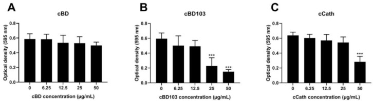 Inhibitory activity against pseudomonal biofilm formation of (A) cBD, (B) cBD103, and (C) cCath. Biofilm formation was evaluated by crystal violet staining. The absorbance was measured at 595 nm using a microplate absorbance reader. All experiments were performed independently in triplicate and analyzed using one-way analysis of variance with Tukey’s multiple comparisons. Results are expressed as mean ± standard deviation. *** p < 0.001.
