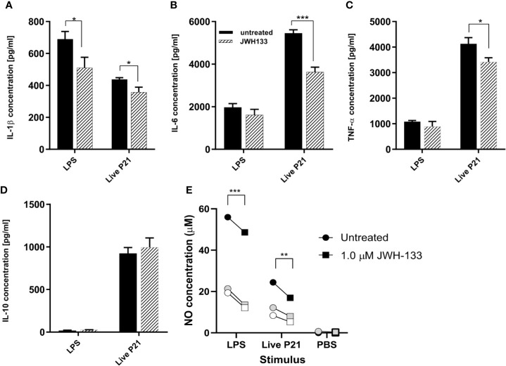 In vitro, JWH-133 treatment attenuates LPS or S. pneumoniae-induced activation of glial cells. The expression of IL-1β (A), IL-6 (B), and TNF-α (C) was reduced by JWH-133 during challenge of astroglial cells by S. pneumoniae. JWH-11 also attenuated LPS-induced production of IL-β, but had not effect on IL-10 (D). Nitric oxide production (E) upon LPS- and S. pneumoniae activation was reduced by JWH-133. (For cytokines, n = 3 for each group; for NO: three independent experiments represented by black, gray, and white symbols; *p < 0.05; **p < 0.01, ***p < 0.001).