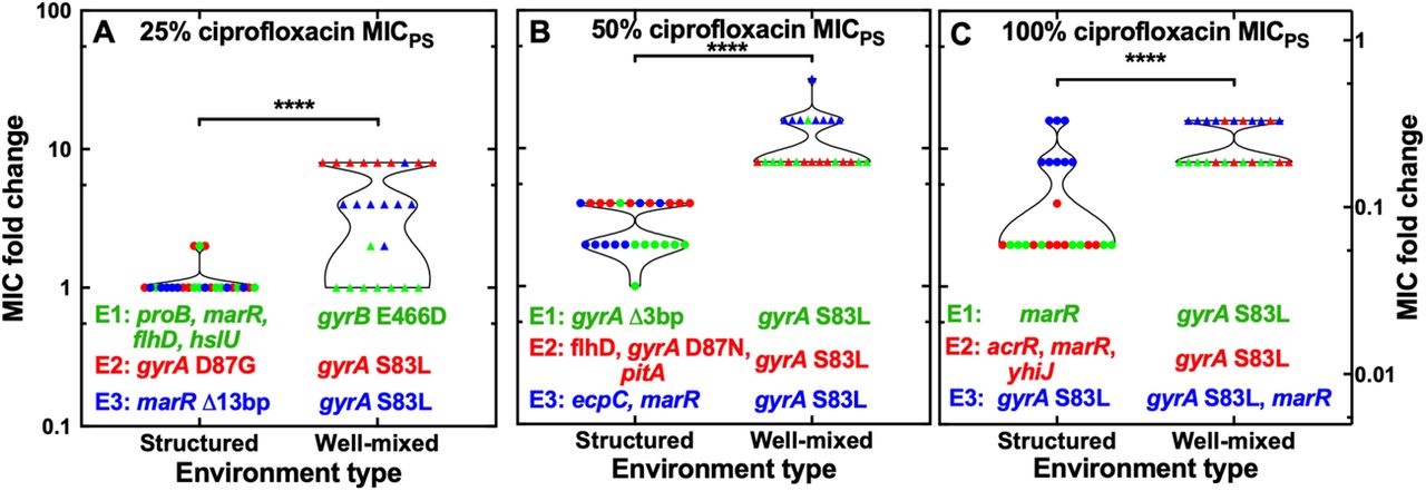 Emergence of genetic resistance to ciprofloxacin.Comparison of the emergence of resistance to ciprofloxacin in the structured (circles) and well-mixed environments (triangles) after 72 h growth in the presence of ciprofloxacin at (a) 25%, (b) 50% or (c) 100% the MICPS value. Each symbol represents the ciprofloxacin MIC value measured for one out of eight technical replicates from three different evolutionary experiments Experiment 1, 2 and 3, respectively (E1, E2 and E3, reported in green, red and blue, respectively). Corresponding mutations occurring at 100% frequency in each experiment are reported under each data set. ****: p: <0.0001.