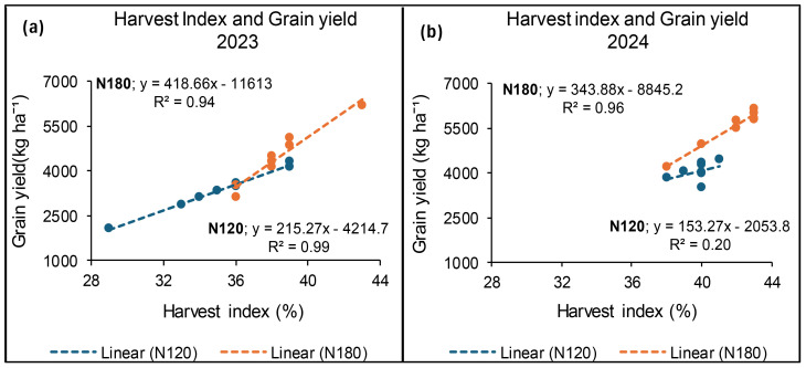 Scatter plots of harvest index and grain yield for 2023 and 2024. Plot (a) for 2023 shows two linear trends: N180 (orange) with R² = 0.94 and N120 (blue) with R² = 0.99. Plot (b) for 2024 shows N180 with R² = 0.96 and N120 with R² = 0.20. Both plots use percentage harvest index as the x-axis and grain yield (kg/ha) as the y-axis.