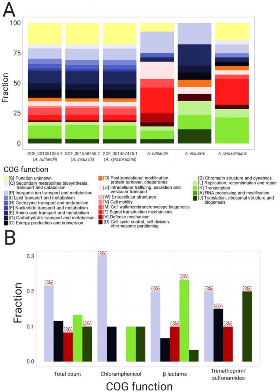 COG annotations of (A) three Achromobacter reference genomes and most frequently mutated genes, and (B) frequently associated with antibiotic resistance unitigs.Red boxes mark COGs which are ≥2x enriched in GWAS compared to reference genomes.