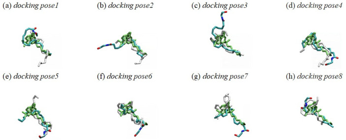 Overlay of the eight docking poses and equilibrated poses of AEA.The eight docking poses (in white) and equilibrated poses (in atom type) of AEA were superimposed to AM11542 (in green) in the X-ray crystal structure of AM11542-bound CB1 receptor [6]. The alignment rule: the backbone Cα atoms of the TM helical residues of the CB1 receptor. Color coding: carbon, cyan; oxygen, red; and nitrogen, blue. Hydrogen atoms were omitted for clarity.