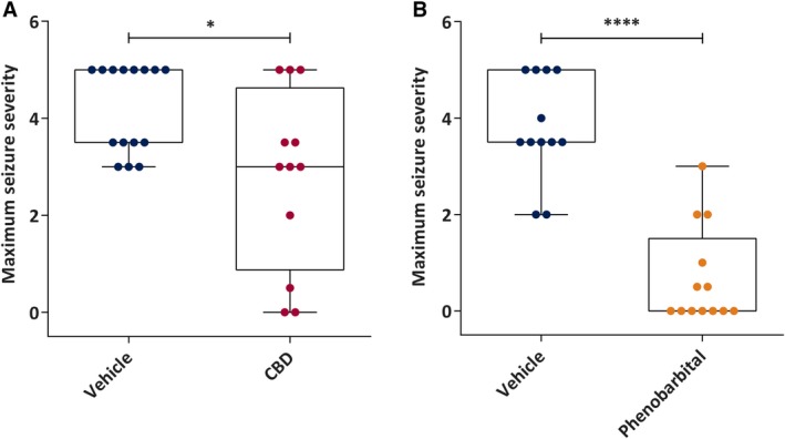 Acute administration of subtherapeutic doses of cannabidiol (CBD) attenuates maximum seizure severity to a similar degree as supratherapeutic doses of the prototype antiseizure drug, phenobarbital (PB), in the pilocarpine‐induced status epilepticus rat model. A, Median maximum seizure severity of vehicle (n = 15) and CBD (n = 12, 10 mg/kg intravenous [IV]). CBD or vehicle was administered to rats 1 hour prior to systemic administration of the chemoconvulsant pilocarpine. CBD‐treated rats demonstrated significantly reduced maximum seizure severity compared to vehicle‐treated rats. B, Median maximum seizure severity of PB (n = 13, 30 mg/kg IV) and its vehicle (n = 12). PB or vehicle was administered to rats 1 hour prior to systemic administration of the chemoconvulsant pilocarpine. PB‐treated rats demonstrated significantly reduced maximum seizure severity compared to vehicle‐treated rats (raw maximum seizure severity data), confirming the therapeutic responsiveness of the model. Data are expressed as median, minimum to maximum, and interquartile range. Data were analyzed by Mann‐Whitney test, *P < 0.05, ****P < 0.0001