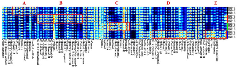Fingerprints of volatile components in hempseed milk fermented with different probiotics. Dark and light colors represent the change in the relative concentration of the substance from high to low; -M and -D represent the monomeric and dimeric forms of the same substance, respectively. These differential compounds on the fingerprint are mainly concentrated in these 5 regions (A–E).