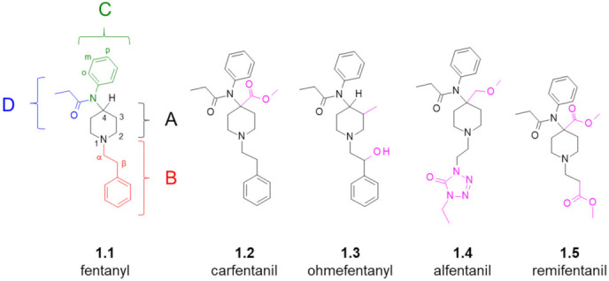 Structure of fentanyl (with its logical dissection and position numbering convention shown) and of a few important analogues thereof. Modifications (compared to the parent compound) are marked in pink.