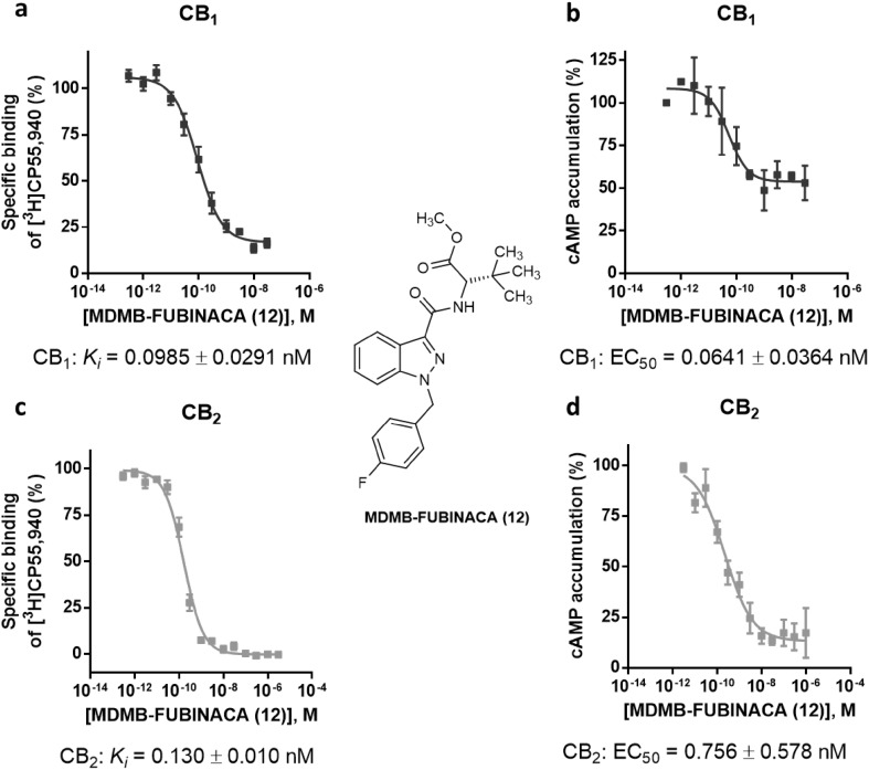 Pharmacological characterization of MDMB-FUBINACA (12). a Affinity of MDMB-FUBINACA (12) for the cannabinoid receptor CB1 determined in radioligand binding studies. b Receptor activation of the cannabinoid CB1 receptor by MDMB-FUBINACA (12) determined in cAMP accumulation assays. c Affinity of MDMB-FUBINACA (12) for the cannabinoid receptor CB2 determined in radioligand binding studies. d Receptor activation of the cannabinoid CB2 receptor by MDMB-FUBINACA (12) measured in cAMP accumulation assays