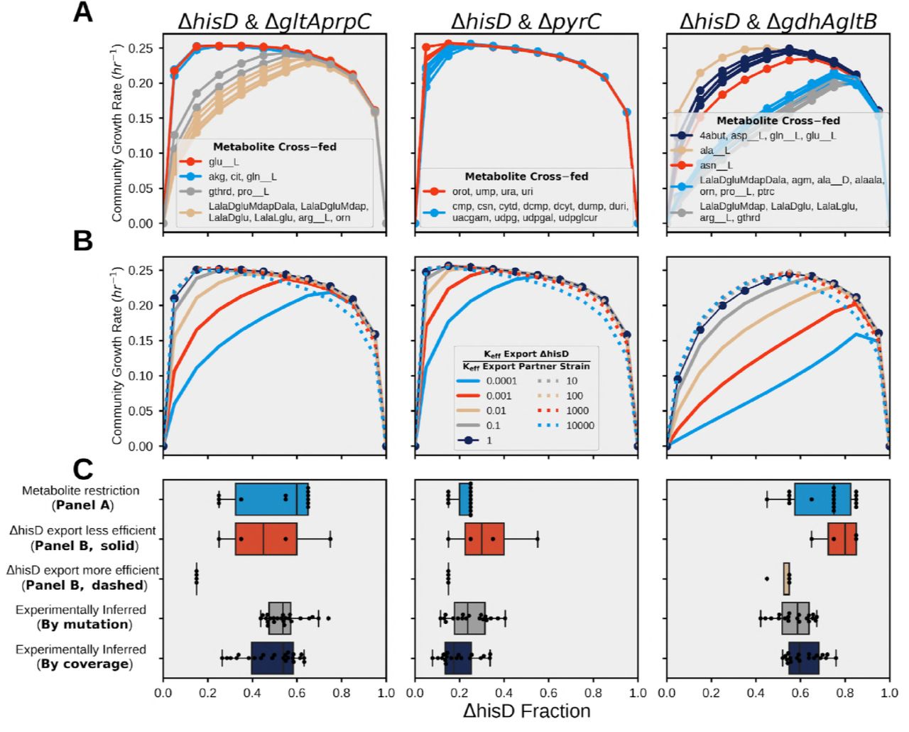Community Modeling.Community ME-model predicted growth rates for fractional strain abundances of ΔhisD ranging from 0 to 1. A) The effect of metabolite cross-feeding on community structure. Each curve was computed by allowing different metabolites to be cross-fed to the MSE strain. Similar curves were grouped by color. B) Effect of varying the proteome efficiency of metabolite export on community structure (see Methods). The analysis was performed on models constrained to only cross-feed the metabolite that was inferred from the resequencing data (2-oxoglutarate, orotate, and L-glutamate, respectively) (Table 2). C) Box plots of experimentally measured abundances for each sample (bottom two rows, gray, and dark blue) and the computationally-predicted optimal strain abundances following variation in the cross-feeding metabolite (top row, blue) and in strain proteome efficiency (second and third row, red, and yellow).