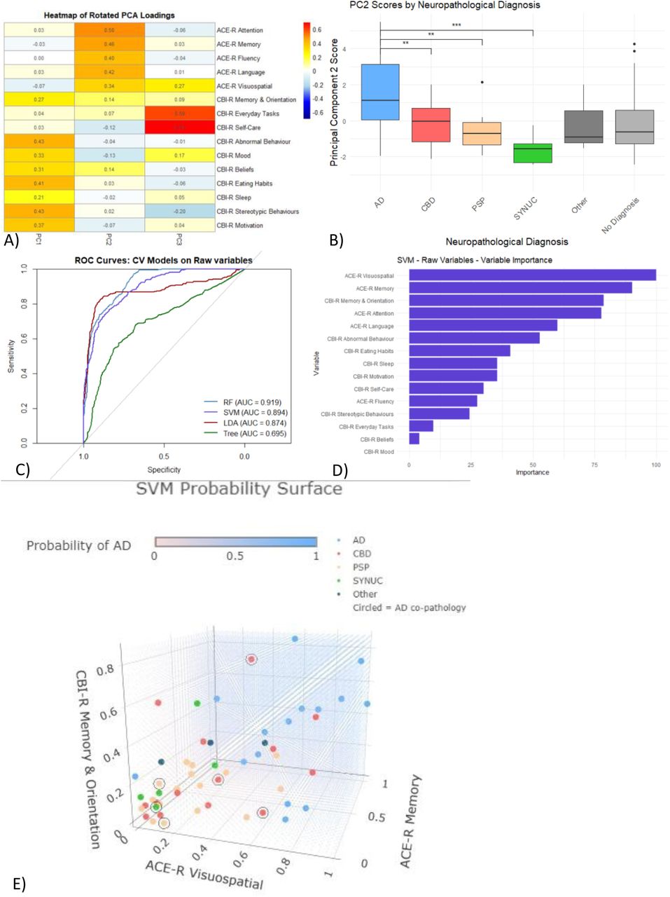 PCA and predictive modelling results.(A) Heatmap of loadings for the first three principal components: PC1 (behavioural; CBI-R), PC2 (cognitive; ACE-R), and PC3 (functional; CBI-R). (B) PC2 scores by pathology group, showing significantly higher (worse) scores in CBS-AD compared with CBD, PSP, and synucleinopathies. (C) ROC curves for the four classification models; Random Forest, SVM, and LDA show similarly high AUCs. (D) Variable importance for the SVM model, with ACE-R visuospatial, ACE-R memory, and CBI-R memory & orientation identified as the strongest predictors. (E) SVM probability surface illustrating predicted AD probability across these three key variables, overlaid with patient data points coloured by pathology; cases with secondary AD co-pathology are circled. Higher impairment across these domains corresponds to increased predicted probability of AD pathology.