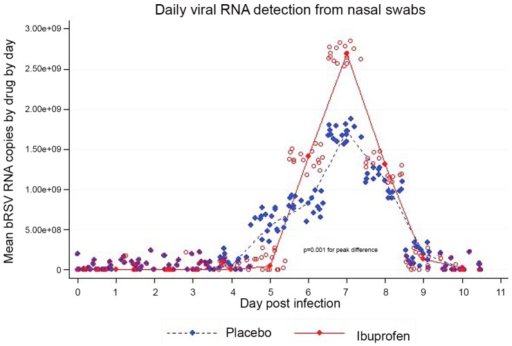 The mean by treatment group daily viral shedding as measured by polymerase chain reaction of bovine respiratory syncytial virus from nasal swabs.Each sample was tested in duplicate and both duplicates shown with random jitter added to prevent overlapping of individual measurements. Ibuprofen is red, placebo blue. Statistical significance was calculated using a mixed effects model. The difference was statistically significant on post inoculation Days 6 through 8.