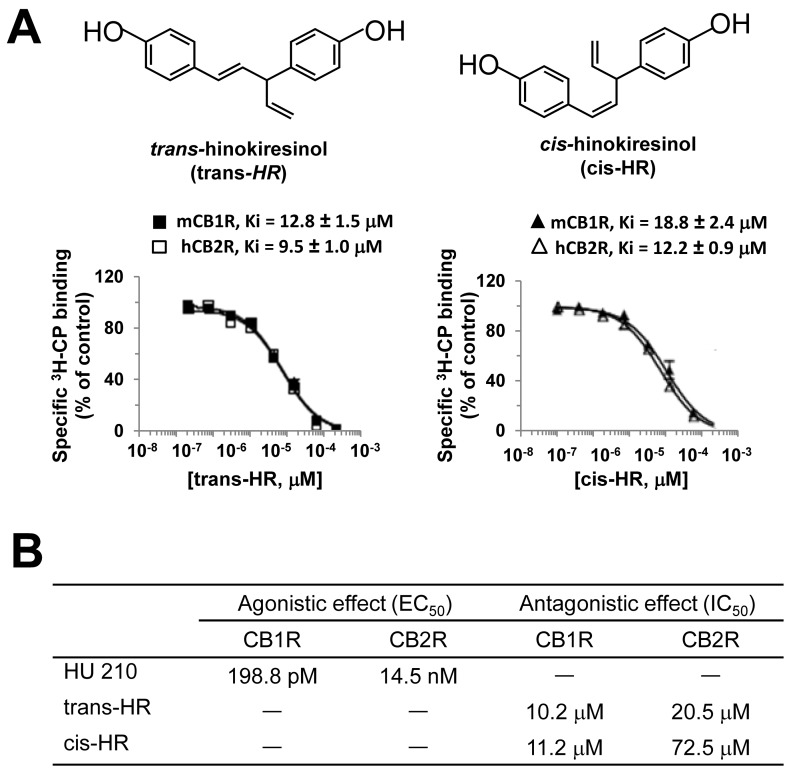 Selective binding of trans- and cis-hinokiresinols on CB1R and CB2Rs.(A) Competitive binding experiments against [3H]CP55,940 (3H-CP) were performed using either membrane fractions from mouse brain (mCB1R) or CHO cells stably expressing human CB2R (hCB2R) in the presence of trans- or cis-hinokiresinols (trans- or cis-HR). Data are presented as mean ± SEM. N = 6. (B) Calculated EC50 and IC50 values of antagonistic and agonistic activities from CB1R reporter gene assay and forskolin-stimulated cAMP accumulation assay in CHO-hCB2R cells. Hu-210 was used as a positive control for agonistic activity.