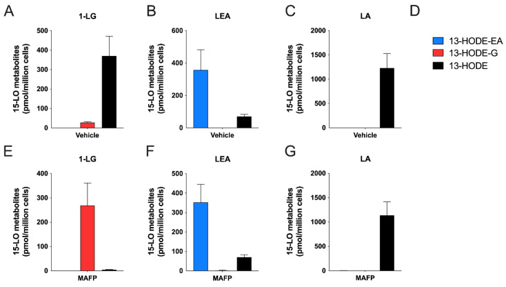 Metabolism of LA, 1-LG or LEA by human eosinophils. Pre-warmed human eosinophil suspensions (37 °C, 106 cells/mL in HBSS containing 1.6 mM CaCl2) were treated with DMSO (A–C) or MAFP 1 μM (E–G) for 5 min then stimulated with 3 μM of (A,E) 1-LG, (B,F) LEA, (C,G) LA for another 5 min. (D) Metabolite legend for panels. (A–G) Incubations were stopped by the addition of one volume of cold (−20 °C) MeOH containing the internal standards. Samples then were processed for LC-MS analysis as described in methods. Results are the mean (±SEM) of 4–5 independent experiments.
