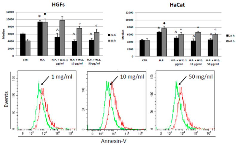 Apoptosis assay, expressed as the median of Annexin-V FITC peaks in HGFs (upper left) and HaCat cells (upper right) in presence of different concentrations of hemp water extract (W.E.) and/or H2O2 (H.P.) at 24 and 48 h. Representative histograms of HaCat cells at 24 h (below). Red line: H.P. treated cells. n = 3. * p < 0.05 vs. Ctr 24 h. • p < 0.05 vs. Ctr 48 h; ^ p < 0.05 vs. H.P. ° p < 0.05 vs. H.P. 48 h.