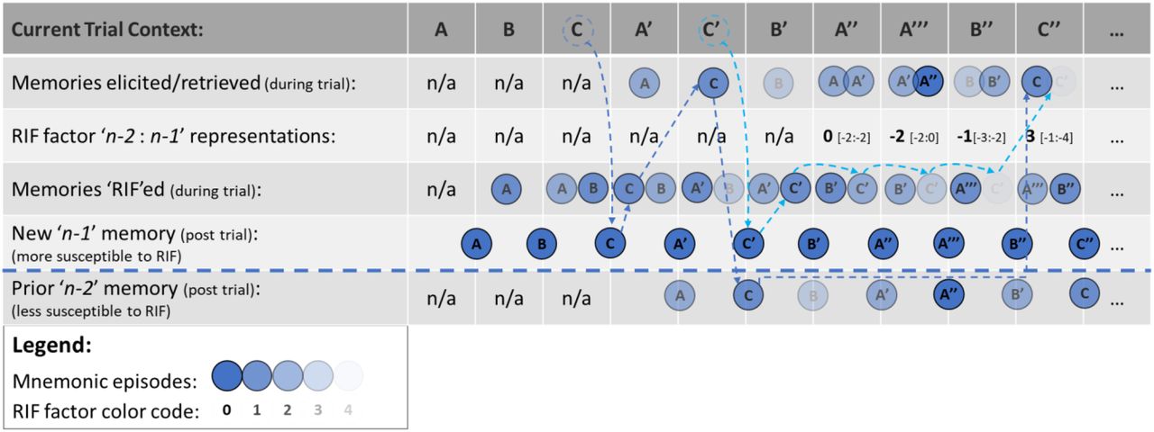 Schematic model of putative RIF impact on n-2 vs n-1 memories.Here, we have presented mnemonic contents schematically to illustrate how more recent n-1 memory episodes may be more susceptible to RIF than earlier n-2 memory episodes. Notably, in the case of the trial designated C’’, it illustrates how an earlier memory, e.g. C (n-2), may nevertheless be less weakened than a more recent memory, e.g. C’ (n-1), when both are elicited by the spatial context and need to be deliberated over. This highlights the kind of putative cognitive mechanisms by which an organism may mistake an earlier memory for a more recent one due to the earlier mnemonic episode being representationally richer, i.e. more vivid, than the more recent episode, due to the latter having been more repeatedly actively forgotten.