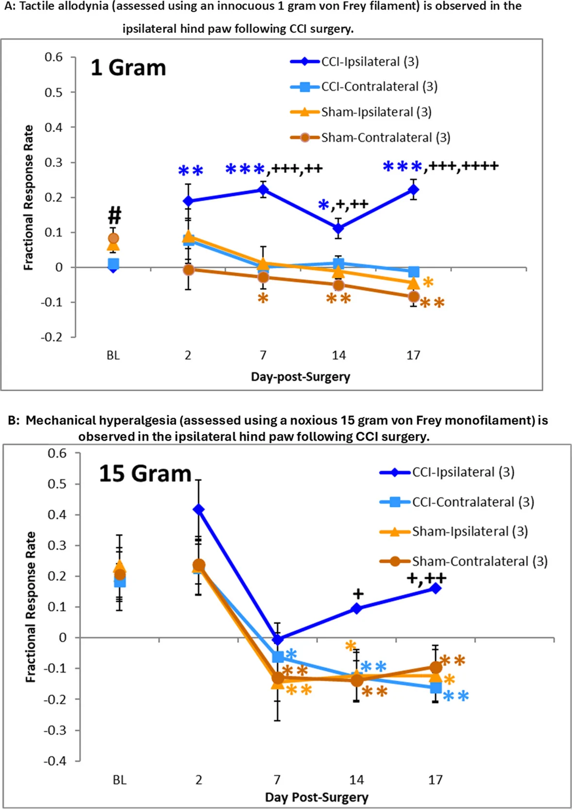 Assessment of mechanical stimulation. A Tactile allodynia (assessed using an innocuous 1 g von Frey filament) is observed in the ipsilateral hind paw following CCI surgery. CCI rats developed ipsilateral hind paw tactile allodynia at days 7, 14, and 17 after ligature placement. Initial 2-way Repeated Measures Mixed Model analysis determined a Surgery effect, F(1, 4) = 10.33, P = 0.0325, and a Surgery*Day effect, F(4, 46) = 3.37, P = 0.0169. Planned comparisons on the predicted means determined significance for CCI-ipsilateral hind paw responses at levels of *p = 0.0461, **p = 0.002, ***p = 0.0005 when comparing to respective baseline (BL) values. Sham-ipsilateral at day 17 as compared to respective BL, **p = 0.0014; Sham-contralateral as compared to respective BL at day 7, *p = 0.0204; day 14, **p = 0.0071; and day 17, **p = 0.0014. Employing a 2-way ANOVA approach at each day followed by LSD post-hoc test and analysis of planned comparisons determined: Sham-contralateral exhibited significance at #p = 0.0036 compared to respective CCI-contralateral BL; Day 2 yielded no significant differences; Day 7 demonstrated significance at +++p ≤ 0.001 vs CCI-contralateral (p = 0.001) and vs Sham-contralateral (p = 0.0005), and ++p < 0.01 vs Sham-ipsilateral (p = 0.0014); Day 14 revealed significance at +p < 0.05 vs CCI-contralateral (p = 0.0358) and vs Sham-ipsilateral (p = 0.0151), and ++p < 0.01 vs Sham-contralateral (p = 0.0036); Day 17 displayed significance at +++p < 0.001 vs CCI-contralateral (p = 0.0002), and ++++p < 0.0001 vs Sham-ipsilateral and vs Sham-contralateral. B Mechanical hyperalgesia (assessed using a noxious 15 g von Frey monofilament) is observed in the ipsilateral hind paw following CCI surgery. Two-way repeated measures mixed model approach determined a Day effect, F(4, 46) = 17.71, P < 0.0001. Planned comparisons revealed significance for Sham-ipsilateral hind paw responses at the levels of *p < 0.05, **p < 0.01 compared to respective baseline (BL) values: Day 7, p = 0.0071; Day 14, p = 0.0104; Day 17, p = 0.0104. Sham-contralateral as compared to respective BL at day 7, **p = 0.0042; day 14, **p = 0.0033; and day 17, **p = 0.0084. CCI-contralateral as compared to respective BL at day 7, *p = 0.0263; day 14, **p = 0.0067; and day 17, **p = 0.0033. The data at each day underwent analysis utilizing a 2-way ANOVA approach with Surgery and Hind paw as the treatment factors. Subsequent planned comparisons of the predicted means were conducted to compare the levels of the Surgery*Hind paw interaction: Baseline (BL) values, NS; Day 2, NS; and Day 7, NS. Day 14, +p < 0.05 CCI-ipsilateral vs Sham-contralateral (p = 0.0425); CCI-ipsilateral trended toward significance vs Sham-ipsilateral, p = 0.0555 and vs CCI-contralateral, p = 0.0508. Day 17, ++p = 0.0082 CCI-ipsilateral vs CCI-contralateral, and +p < 0.05 CCI-ipsilateral vs Sham-ipsilateral (p = 0.0154) and Sham-contralateral (p = 0.0244)
