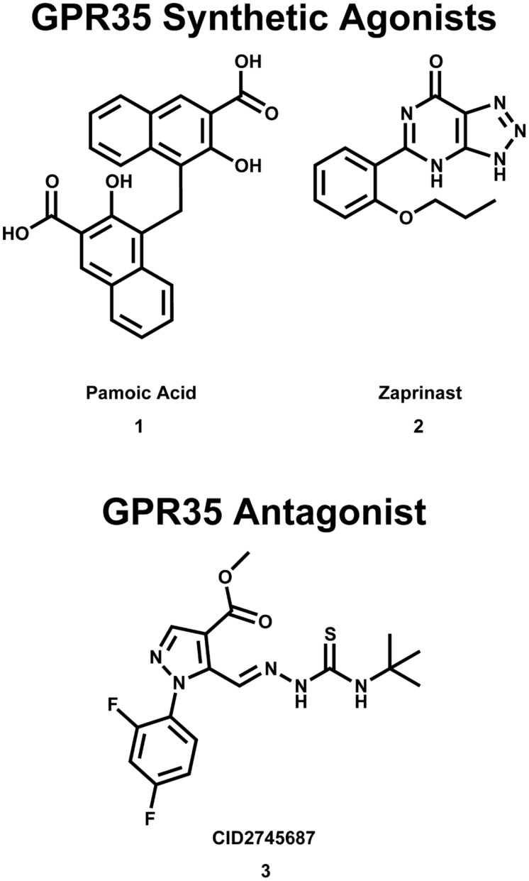 Synthetic GPR35/CXCR8 agonists and antagonists. These compounds are among the best characterized synthetic compounds at GPR35.