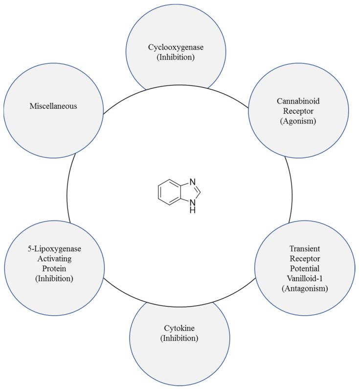 Benzimidazole’s interactions with clinically approved targets.